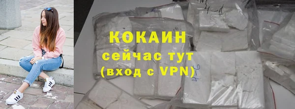 индика Саяногорск