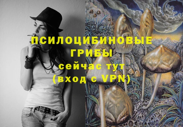 индика Саяногорск