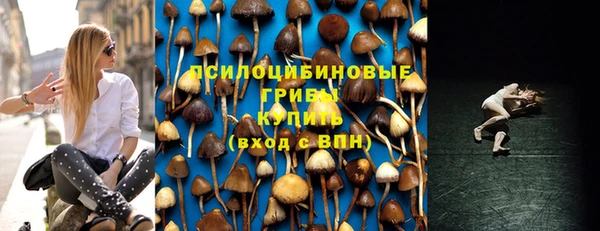 эйфоретик Беломорск