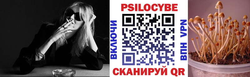 хочу наркоту  Никольск  Псилоцибиновые грибы GOLDEN TEACHER 